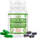Kaunch MUCUNA PRURIENS Konch Beej, Kaunch Beej Capsules d'extraits d'une puissance maximale, 100 % de produits à base de plantes.