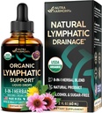 USDA Supplément de drainage lymphatique biologique - Echinacea