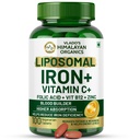 HIMALAYAN Organics Organics Fer chélaté avec la vitamine C, B12, zinc et acide folique.