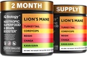 Kava Kava Racine Cordyceps Lions Mane Reishi Supplément de champignons, Nootropic Champignons Capsules Kava Kava Extrait, Vitamines de champignons pour les femmes, Champignons d'énergie, Ashwagandha, Magnésium - 60 Caps (2 Pack)