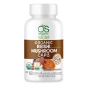 Reishi Mushroom Capsules de 60 capsules Adaptogènes Vegan pour le support immunitaire et le soulagement du stress