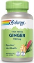 SOLARAY Ginger Root 1100mg | Healthy Digestion, Joints and Motion & Stomach Discomfort Support | Whole Root | Non-GMO & Vegan | 180 VegCaps