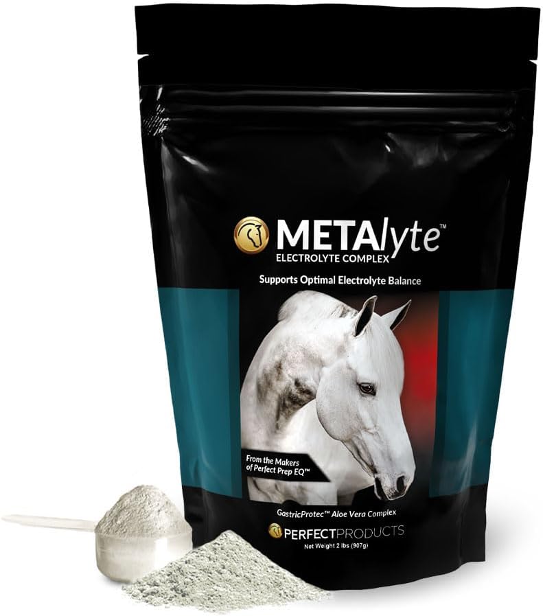 MetaLyte Electrolyte d'Équin Complet avec Aloe Vera apaisant gastrique, formule de poudre de grande dégustation (2 lb, 60 jours)