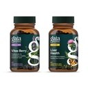 Gaia Herbes Vitex Berry (Chaste Tree) - Soutient l'équilibre hormonal et la fertilité pour les femmes - 60 Végétaux Caps et la santé du foie - Supplément hépatique avec le chardon de lait, racine de réglisse pour le foie et le soutien de nettoyage -