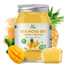 Gel de mousse de mer - 18.5OZ Ananas de mangue Saveur de mousse de mer Gel cru nutritif riche en 102 vitamines et minéraux, protéines et vitamines, végétalien-friendly