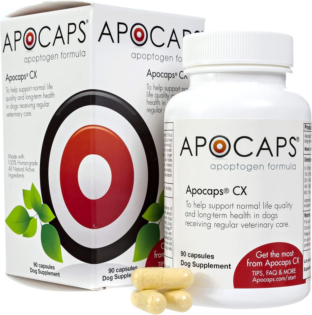 Apocaps CX Apoptogen Formula for Dogs (90 Capsules) - supporte les niveaux normaux d'apoptose + ingrédients de catégorie humaine incluant les bioflavonoïdes d'agrumes, la silymarine, la curcumine et le curcumine + Biovadex
