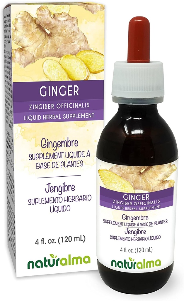 Naturalma Ginger (Zingiber officinalis) Rhizome Teinture sans alcool - 4 fl oz extrait liquide dans les gouttes - supplément à base de plantes - végétalien