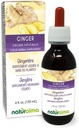 Naturalma Ginger (Zingiber officinalis) Rhizome Teinture sans alcool - 4 fl oz extrait liquide dans les gouttes - supplément à base de plantes - végétalien