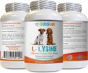 Immune System Dog Food - Dog LYSINE Powder - Pure Powder Form - Immune System Support - Vet Recommended - lysine Double Strength - 1 Bottle (8oz 226.8 Grams)
