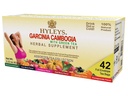 HYLEYS Thé Garcinia Cambogia Thé vert aux saveurs assorties - 42 Sacs à thé (12 Pack - 504 Sacs à thé Total)