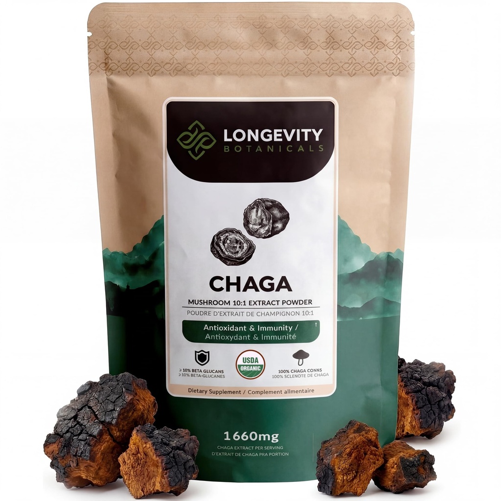 Longévité Botaniques Organic Chaga Mushroom Extract Poudre 100g) Concentré 10:1 Ratio: 100% Corps de Fruits.