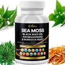 Mousse de mer 3000mg Huile de graines noires 2000mg Ashwagandha 1000mg Bladderwrack 1000mg Turmeric 1000mg Burdock 1000mg Vitamine C & D3 Elderberry Manuka Dandelion Jaune Dock Chlorophyll ACV