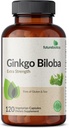 Futurebiotics Ginkgo Biloba Extra Strength Supports Cerveau Fonction & Support Mémoire, 120 Capsules Végétariennes
