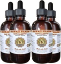 Saw Palmetto Extract liquide, Saw Palmetto biologique (Serenoa Repens) Teinture, supplément à base de plantes, Hawaii Pharm, Fabriqué aux États-Unis, 4x4 fl.oz