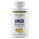Extrait de gingembre premium Paradise Herbes pour la santé digestive, Super Potent, Ultra Pure, Vegan, Non-OGM, Sans gluten, 60 Capsules végétariennes