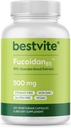 BESTVITE Fucoidan Extract 500mg (standardisé à 85% Fucoidan) (120 Capsules végétariennes) Pas de remplissage - Pas de stéarate - Pas d'agents de débit