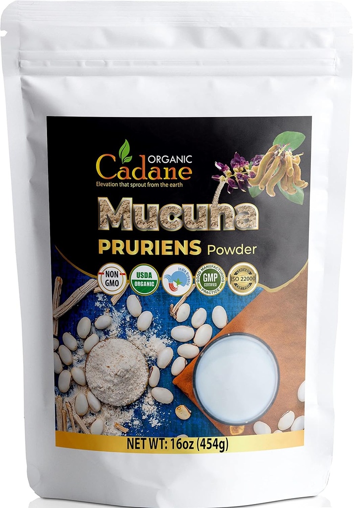 Bio Cadane Mucuna Pruriens Poudre 1 livre Promote la santé du cerveau, soutient le système immunitaire, l'énergie