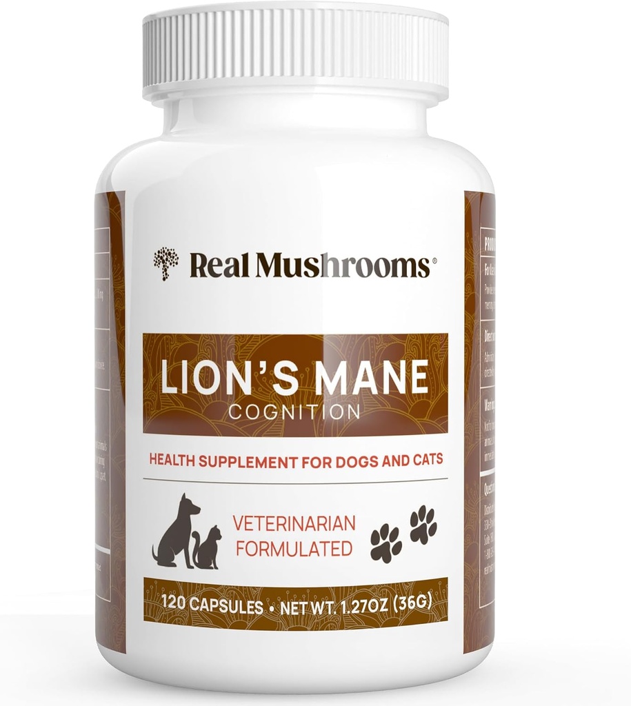 Véritables champignons Lion de la Mane Supplément de champignons pour animaux de compagnie – Capsules de bien-être pour animaux de compagnie – pour supplément de chat et chien & vitamines – Soutien de routines conscientes – Organique, végétalien, non-OGM, 120 Comte