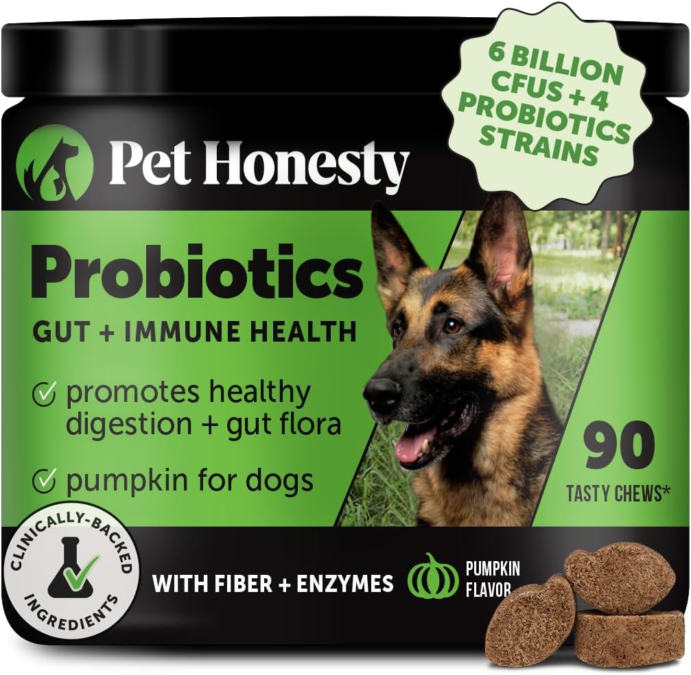 Animaux de compagnie Honnêteté Probiotiques pour chiens pour le soutien occasionnel de la diarrhée et du bowel, enzymes digestives avec prébiotiques pour la santé des chiens Gut, Immunity Health & Ditch Relief (Pumpkin 90 ct)