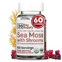 Gummies de mousse de mer avec lions Mane Champignon - Sea Moss Gel Alternative avec la mousse d'Irlande, Reishi, Cordyceps, Chaga & Turquie Tail Supplément - Focus Gummy Sans Café- 60 ct