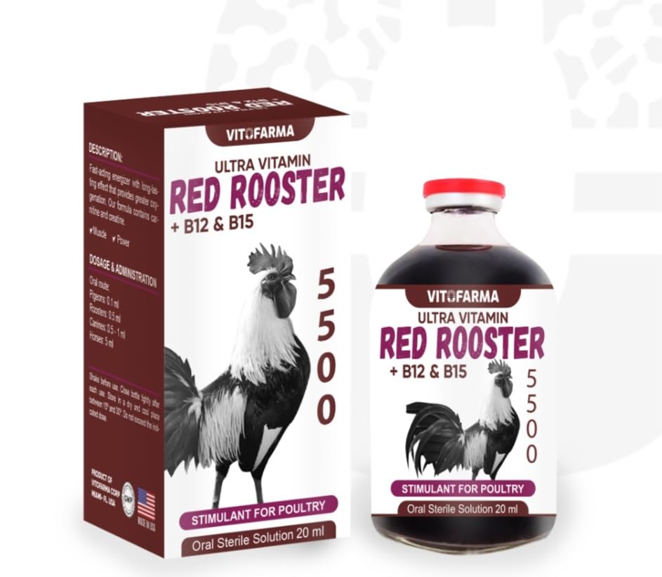 B12 5500 20ml Mass musculaire restauratif Booster d'entraînement de poids optimal pour les coqs - Suplemento para Gallos b12 20 ml (20 ml)