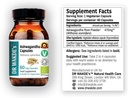 DR WAKDE'S Ashwagandha Capsules (Ginseng indien, Withania somnifera, 60 capsules de légumes, supplément à base de plantes, plante ayurvédique, tout naturel, végétalien)