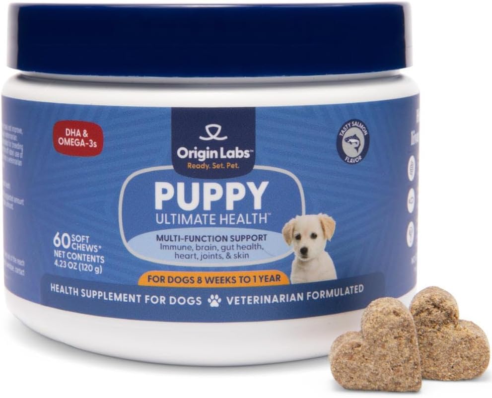 Origin Labs Soutien multifonctionnel pour chiots Supplément Omega 3 de DHA, Huile de poisson sauvage de saumon de l'Alaska, Probiotique pour la santé des intestins, Soutien immunitaire, Coeur, Peau, Cerveau, Santé articulaire, Saveur de saumon, 60 Chews doux