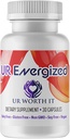 UR Capsules énergétiques - Supplément avec Reishi, Chaga, Extrait de café et de thé vert - Focus, Clarity & Energy for Active Lifestyles - 30 Capsules