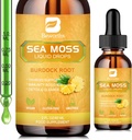 Gouttes liquides de mousse de mer - Gel de mousse de mer Irlandais biologique avec Spiruline, Bladderwrack, root de Burdock, supplément de gel Pinapple Seamoss pour le nettoyage joint, detox & support de digestion - 2 Fl Oz, Vegan