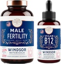 BOTANIQUES WINDSOR Vitamine végan B12 et supplément de fertilité masculine avec racine de maca - énergie et ensemble de fertilité