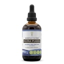 Secrets de la tribu Muira Puama Tection Extrait liquide sans alcool, Muira Puama (Ptychopetalum Olacoides) Bark séché (4 FL OZ)
