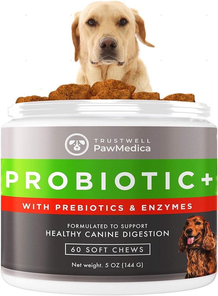 Probiotiques pour chiens PawMedica et enzymes digestives, probiotiques pour chiens fabriqués aux États-Unis, prébiotiques pour chiens et probiotiques, probiotiques pour chiens, probiotiques - 60 probiotiques pour chiens