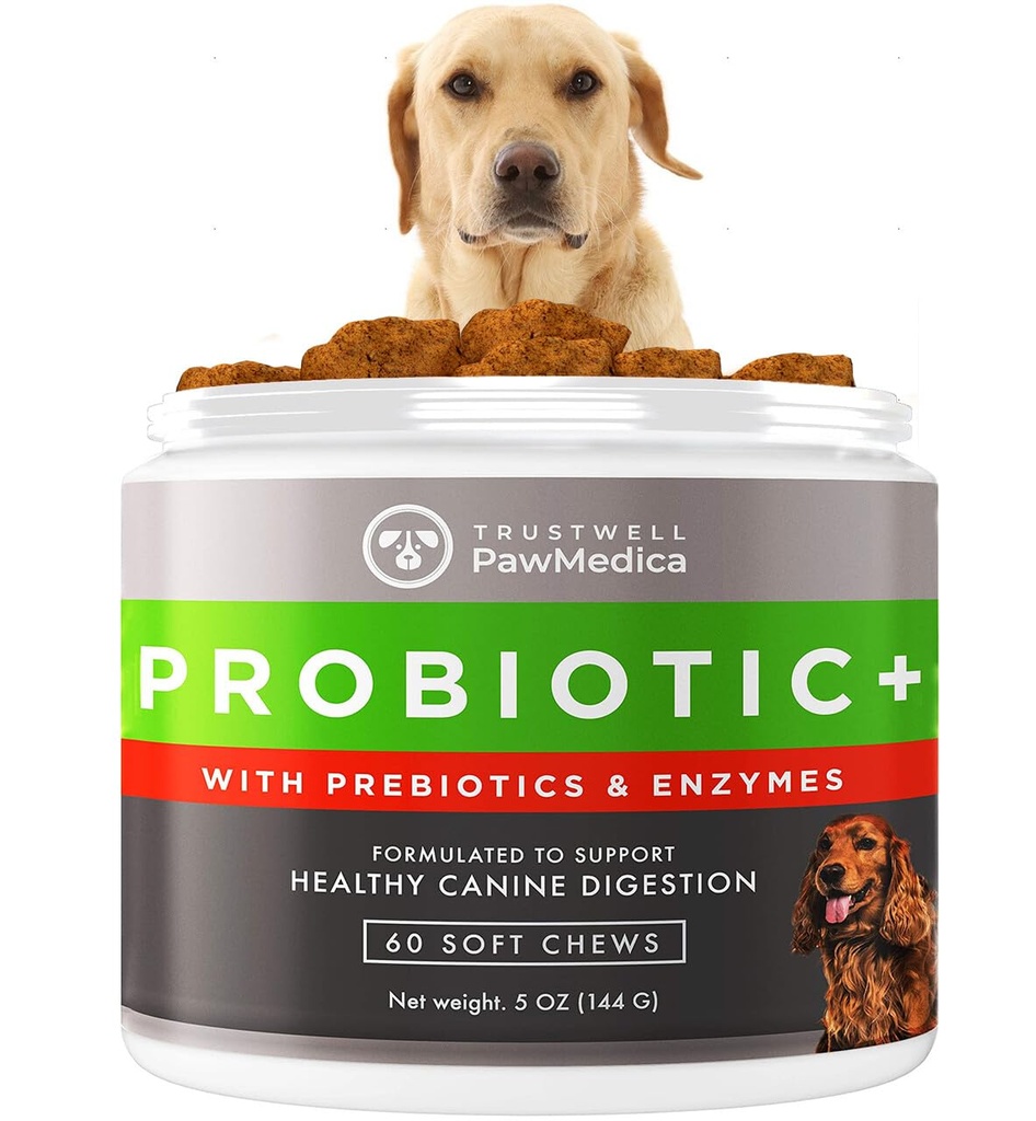 Probiotiques pour chiens PawMedica et enzymes digestives, probiotiques pour chiens fabriqués aux États-Unis, prébiotiques pour chiens et probiotiques, probiotiques pour chiens, probiotiques - 60 probiotiques pour chiens