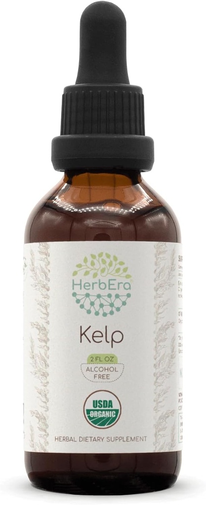 HerbEra Kelp B60 USDA Teinture biologique (extrait sans alcool, gouttes à base de plantes de haute puissance) Kelp biologique certifié (Ascophyllum nodosum) Plante séchée (2 oz)