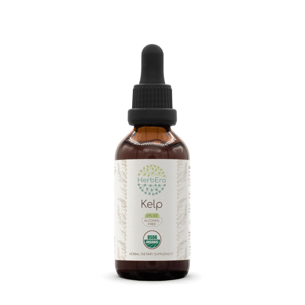 HerbEra Kelp B60 USDA Teinture biologique (extrait sans alcool, gouttes à base de plantes de haute puissance) Kelp biologique certifié (Ascophyllum nodosum) Plante séchée (2 oz)