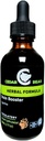 Cedar Bear Cerveau Booster un supplément à base de plantes liquides C'est un support général de mémoire et de vitalité 2 Fl Oz