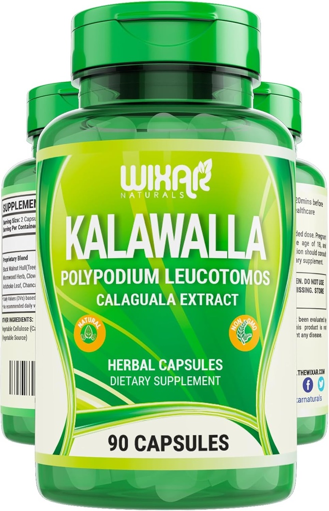 Wixar Polypodium Leucotomos Capsules – Calaguala Feuilles de fer Extrait d'herbe avec des pilules de polypodium Leucotomos - Immune végétarienne, la peau, Alkaline Suppléments de soutien pour les hommes et les femmes – 90 Capsules