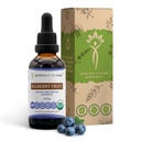 Secrets of the Tribe Bilberry Fruits USDA Organic (extrait sans alcool, gouttes d'herbes à haute puissance, vision) Fabriqué à partir de 100% certifié Bilberry biologique (Vaccinium Myrtillus) Fruit séché 2 oz