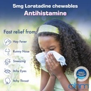 Ohm Enfants Loratadine Chewable, Sans colorant, Bubblegum, Non-Drowsy 24h Relief d'éternuement, Nez de runny, Yeux aqueux, Gorge de démangeaison ou de nez, Antihistamine, Allergies intérieures et extérieures, 5mg, 30 comprimés