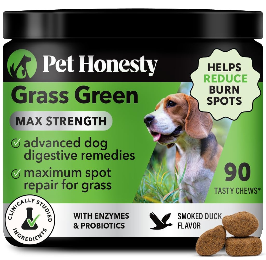 Bouchées vertes Max Strength pour chiens – Supplément de Spot de pelouse Urine pour chiens – Soutient une saine digestion, Gut et santé urinaire avec probiotiques, DL-Méthionine et Yucca (90ct Flavor de canard)