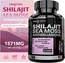 All-in-One Sea Moss, Shilajit, Ashwagandha & supplément de glutathion pour les femmes, stimule l'énergie, 60 capsules