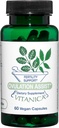 Vitanica Aide à l'ovulation - Santé ovarienne et soutien adrénal avec Rhodiola Rosea, Saint Basilic, Tribulus Terrestris & Chaste Tree - Supplément alimentaire à base de plantes - Pro Logo - 60 Caps végétaliens