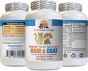 Supplément de manteau santé pour chien - Animaux de compagnie Cheveux et manteau boost - pour chiens et chats - Soutiens ongles de cheveux de peau saine - quercétine pour animaux de compagnie - 1 bouteille (60 comprimés)