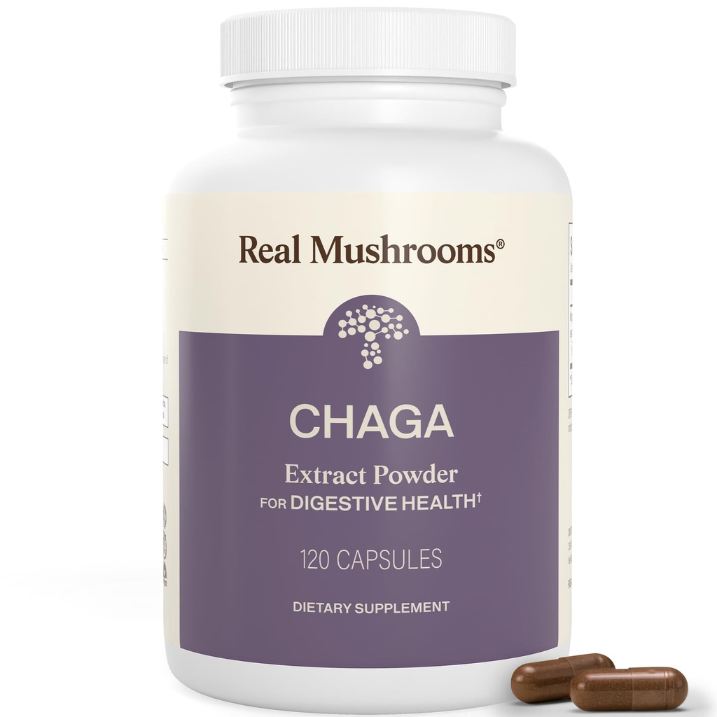 Véritables champignons Capsules de champignons Chaga – Poudre d'extrait de chaga biologique avec poudre d'extrait pour le bien-être et le soutien énergétique – végétalien, non OGM, 120 capsules – supplément de champignons biologiques