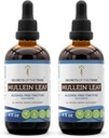 Secrets de la tribu Mullein Leaf Extrait liquide sans alcool, Mullein (Verbascum thapsus) Supplément de teinture (2x4 FL OZ)