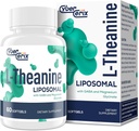 Liposomale L-Theanine 500mg, Complexe avec GABA 200mg & Magnésium 100mg, Supplément de force supplémentaire pour calme, relaxation et focus, sans gluten - 60 Capsules