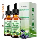 2 Pack de supplément en fer liquide pour femmes hommes et enfants, gouttes de fer végétalien avec vitamine C D, B12, complexe B, liquide à haute puissance avec multivitamine pour l'anémie, soutien énergétique, Magnésium Iron Gentle