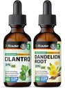 BIO KRAUTER Teinture Cilantro 2 Fl. Oz. & Dandelion Teinture 2 Fl. Oz.