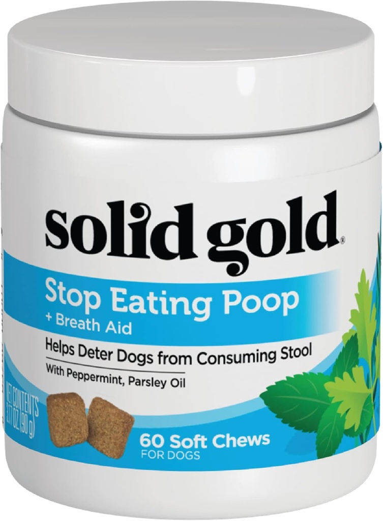 Or massif No Poo Chews pour chiens - Coprophagie Deterrent & Stool Manger Deterrent pour chiens qui mangent des caca pour chiens - Arrêter de manger des caca Chews avec de la menthe poivrée et probiotiques pour Gut & Breath Aid Support - 60ct