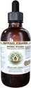 Muira Puama Extrait liquide sans alcool, Muira Puama biologique (Ptychopetalum Olacoides) Supplément à base de plantes glycérites naturelles, Hawaii Pharm, États-Unis 4 oz